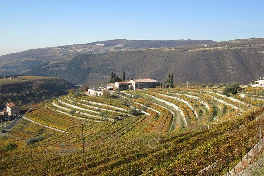 Tour image 10