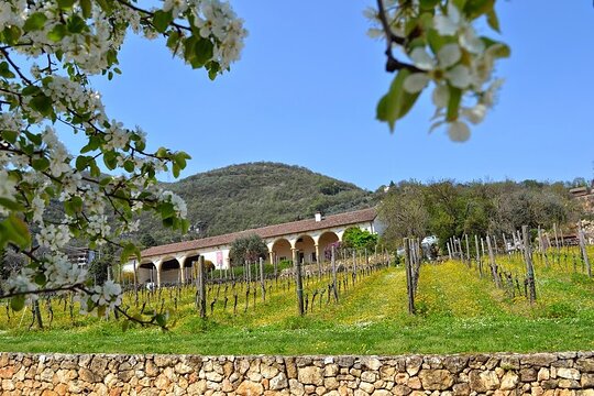 Tour image 2