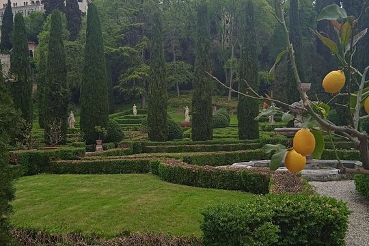 Tour image 6