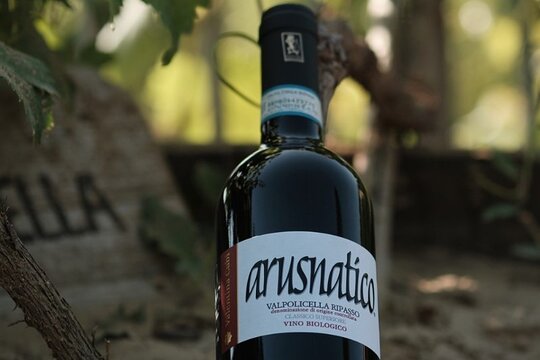 Tour image 4